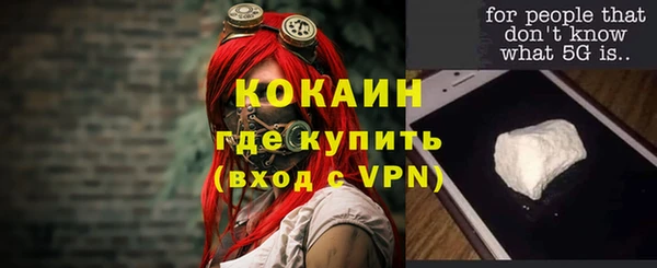 гашик Гусь-Хрустальный