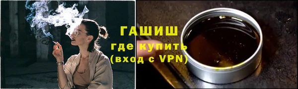 гашик Гусь-Хрустальный