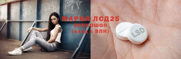 гашик Гусь-Хрустальный