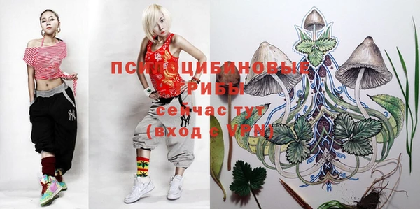 соль курить ск Гусиноозёрск