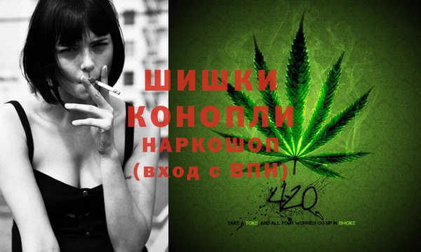гашик Гусь-Хрустальный