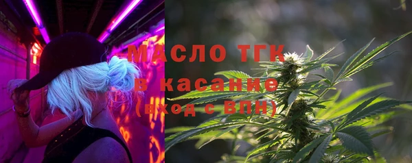 гашик Гусь-Хрустальный
